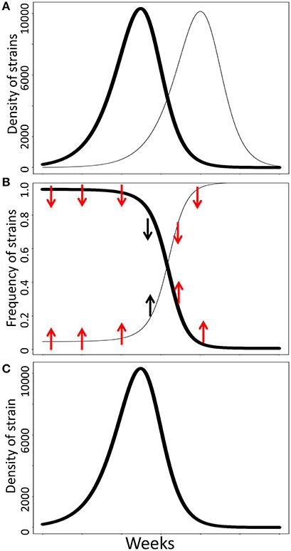 Navigating ⁤Frequency Selection for Enhanced Reception