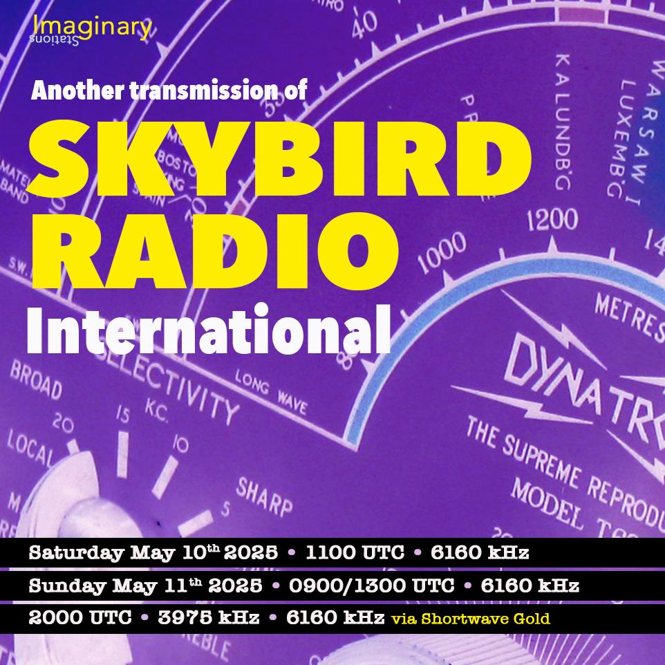 Behind the Scenes: How Concert Crews Use Radios for Flawless Performances