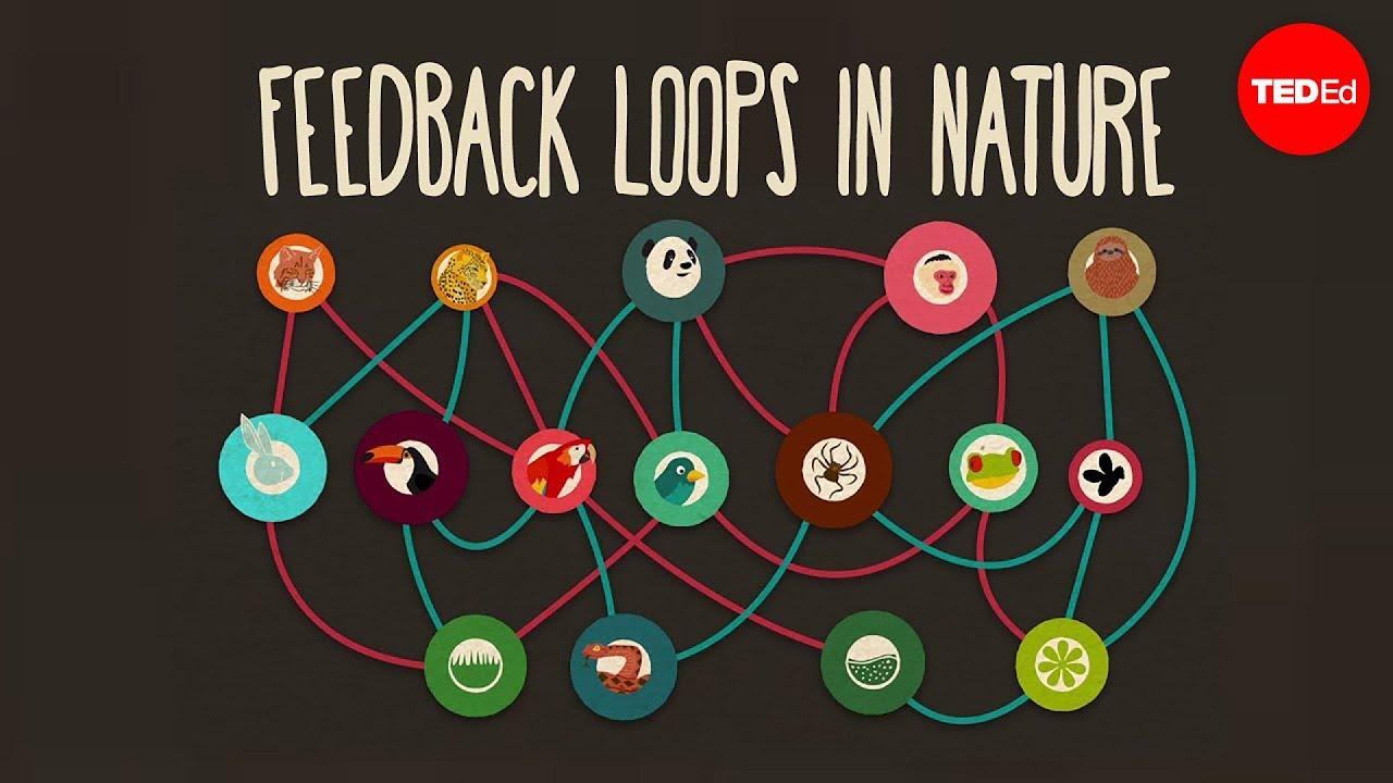 fostering Innovation Through Feedback‍ Loops