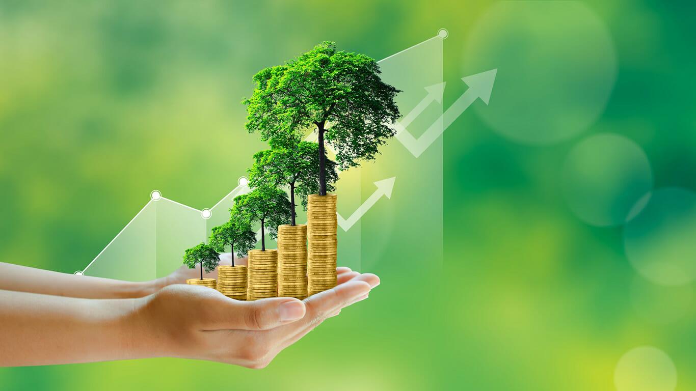 Future Forward: ⁤Sustainable Practices ⁣and recommendations for Continued Innovation