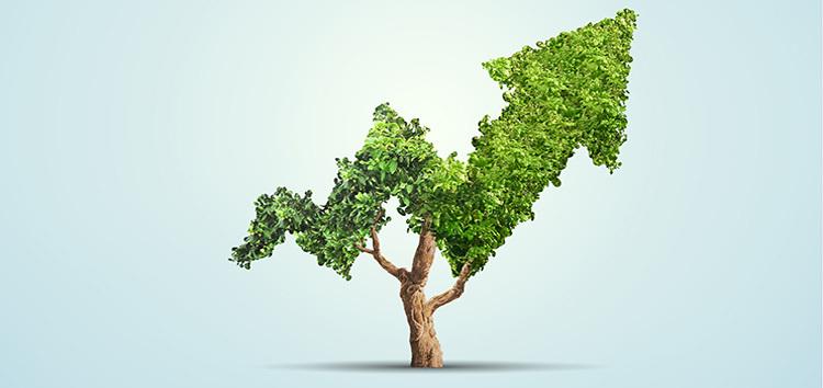 Implementing a Dual Strategy for Sustainable Growth
